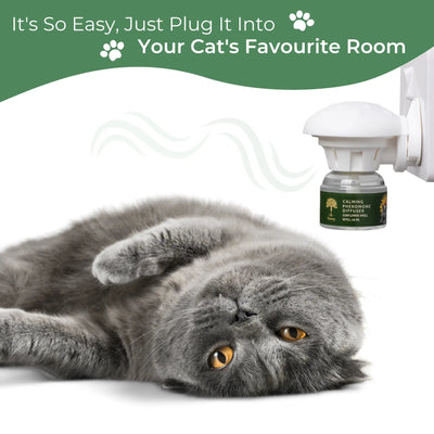 Understanding Cat Pheromones