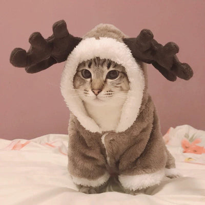 Cat And Dog Clothes Autumn And Winter Christmas Cj dropshipping