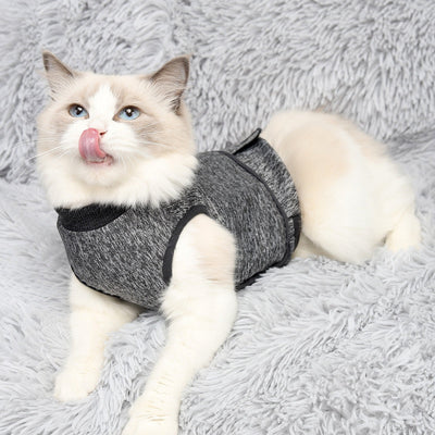 Popular Pet Clothes Cat Clothes Spring Cj dropshipping